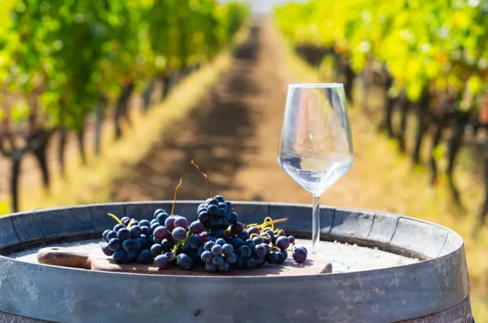 bozcaada turu fiyatları